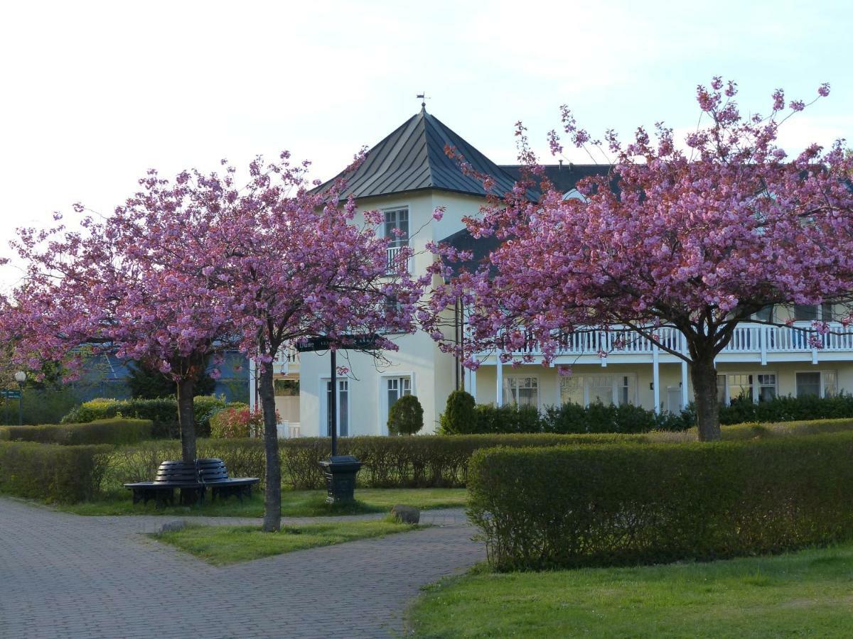 Duenenpark In Binz Fuer Eltern Und Kind Appartement Buitenkant foto